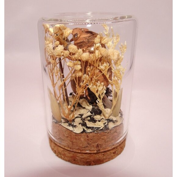 Two Cicada Skins Wing Sweetgum Ball lycan & Oddity Jar goth witchy taxidermy - Picture 12 of 13